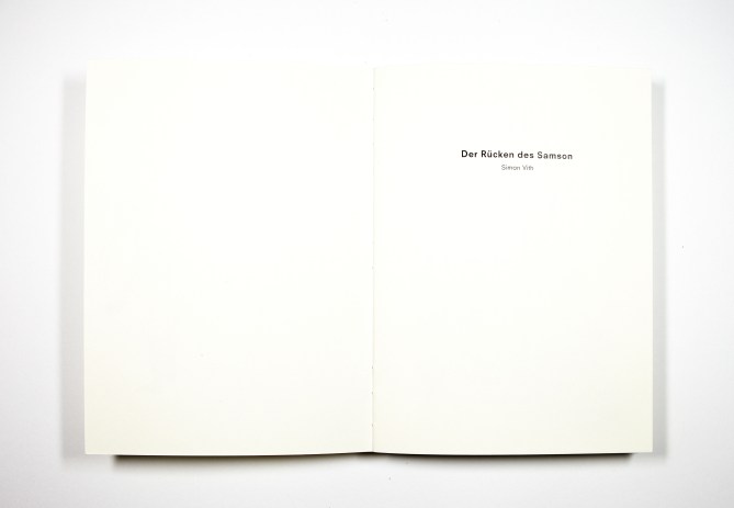 samson_captures_bearbeitet_02