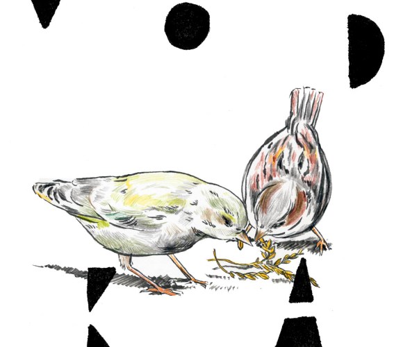 vodka etikett vögel bunt